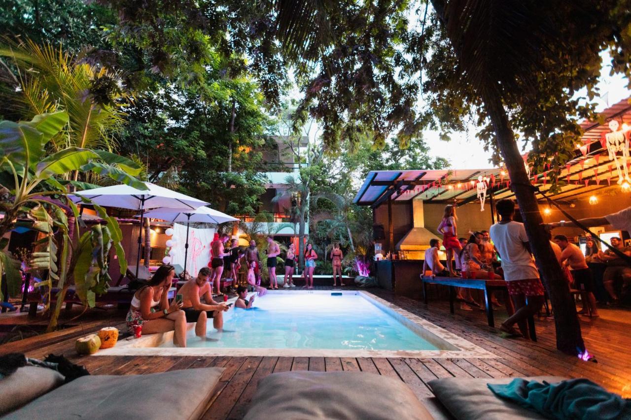 Che & Bar Adults Only Auberge de jeunesse